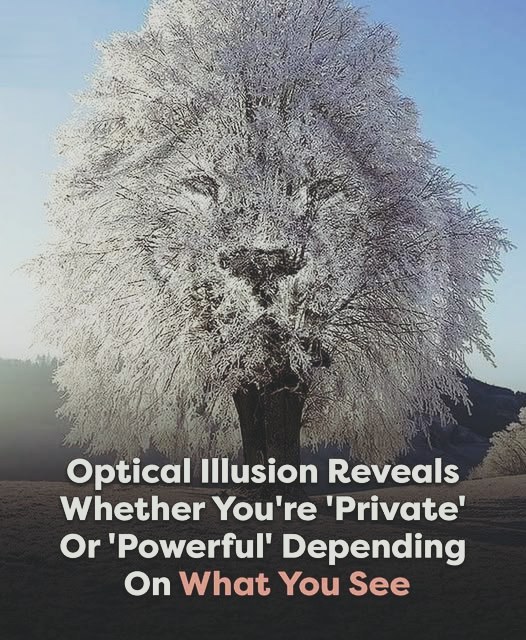 The First Detail You See Might Reveal Your True Personality