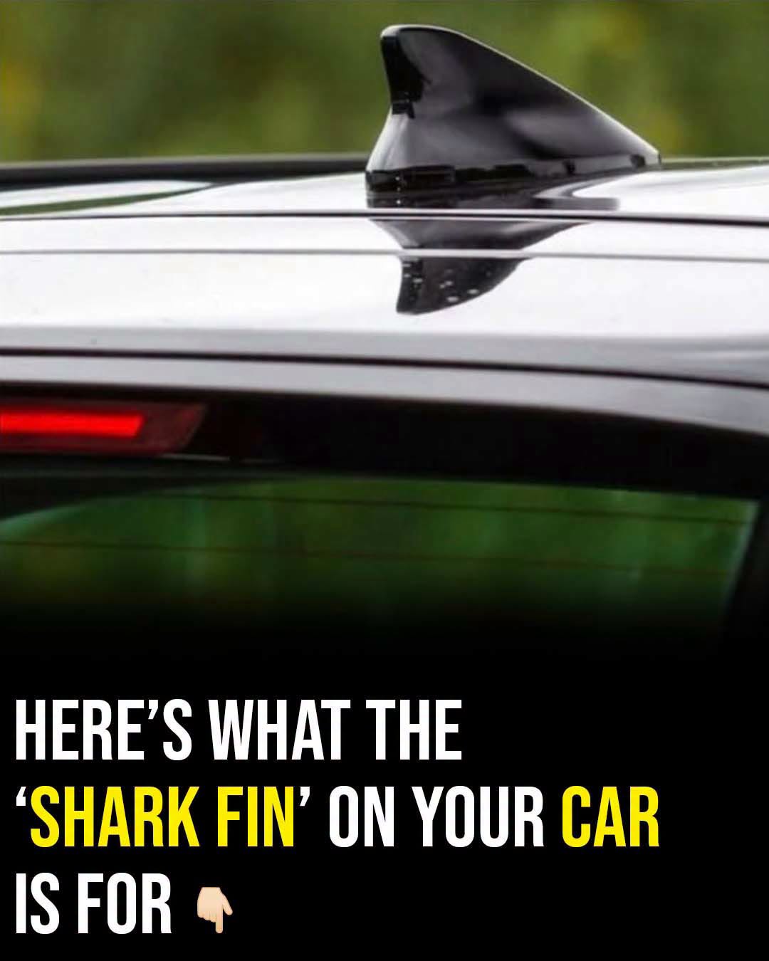 That little shark fin on your car actually does more than just look cool—it serves a pretty important purpose.