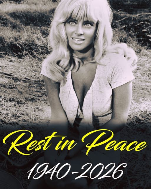 Actress Famous for Her Memorable ‘Cool Hand Luke’ Scene Passes Away at 87