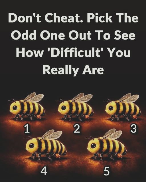 “What Your Pick in This Image Could Reveal About Your Personality”