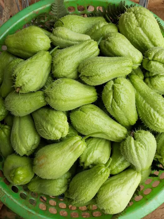 Doctors explain what eating chayote may do to your body and the potential effects it can have on digestion and overall health.
