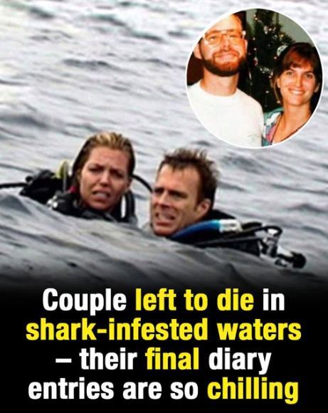 A couple abandoned in shark-infested waters — their final diary entries send chills down the spine