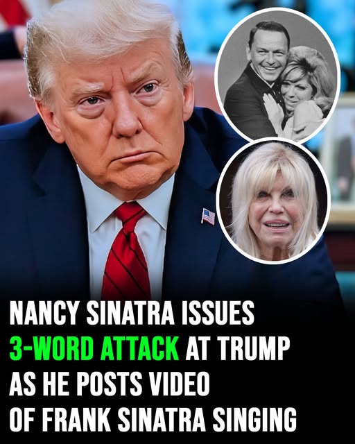 Nancy Sinatra issues 3-word attack at Donald Trump as he posts video of Frank Sinatra singing