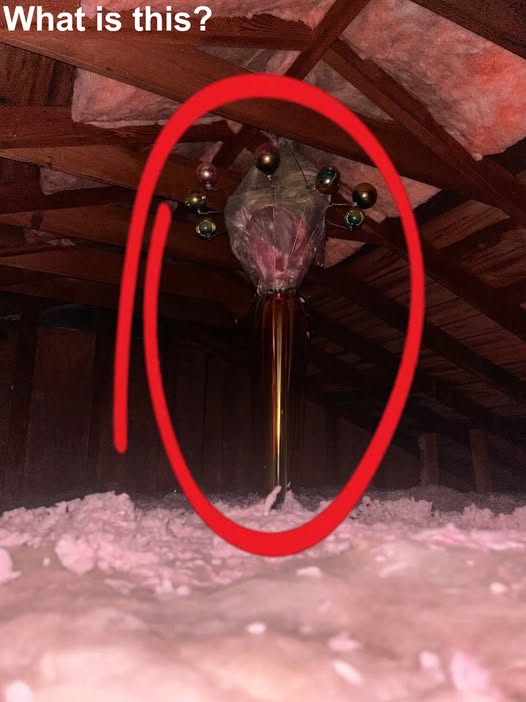 An item discovered in the attic of a 1960s-era home—still hanging in place after all these years… any idea what it could be?