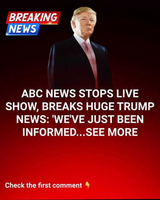 ABC anchor acknowledges key developments as Trump’s DC crackdown shows notable results.