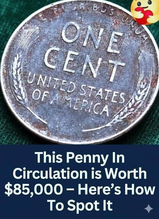 Hidden Treasure Alert 😱 This rare penny could be worth a fortune—make sure you know what to look for!