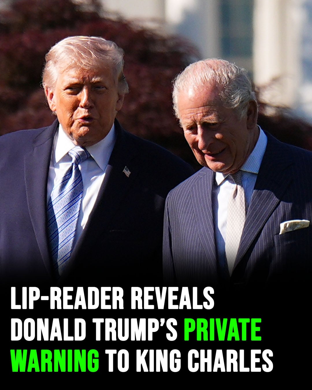 A lip-reader claims Donald Trump delivered a private warning to King Charles III—and it’s raising eyebrows.