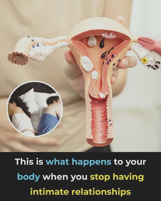 7 Possible Changes Your Body May Go Through After a Long Period Without Intimacy