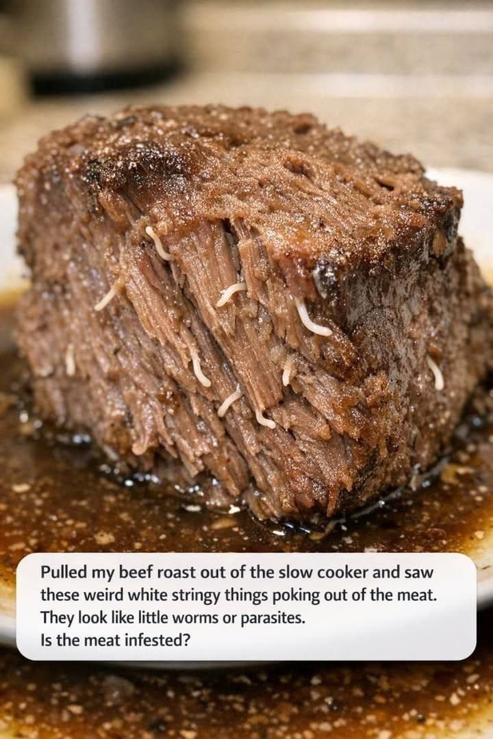 I pulled my beef roast out of the slow cooker and noticed some odd white, string-like pieces sticking out of the meat. They almost look like tiny worms or parasites—could the meat be infested?