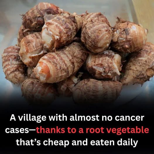 A small village shows remarkably low cancer rates, and their secret isn’t costly supplements—it’s a simple root vegetable they eat every day.