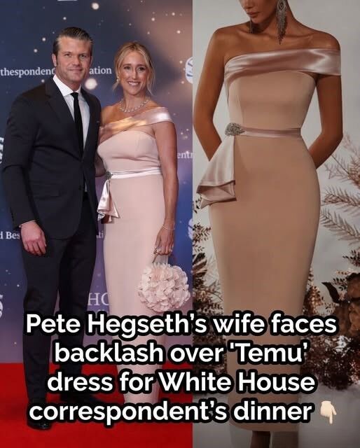 The dress worn at the 2026 Correspondents’ Dinner quickly went viral, igniting widespread online discussion and a national debate.