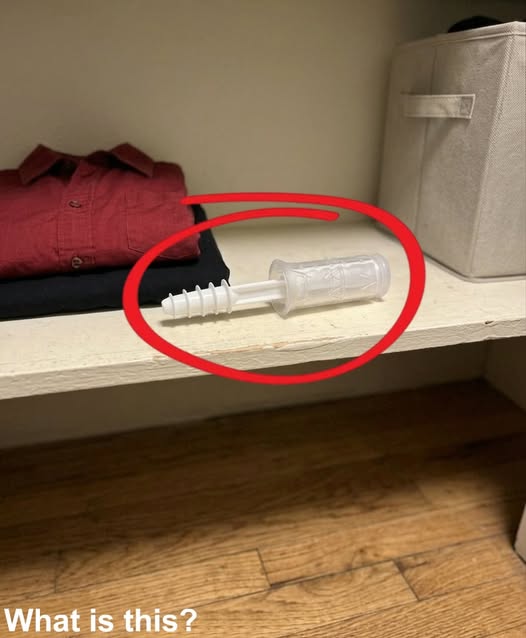This evening, I opened my wife’s wardrobe and found something inside that I wasn’t expecting.