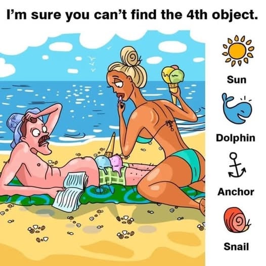 Spot the Sun, Dolphin, Anchor, and Snail.